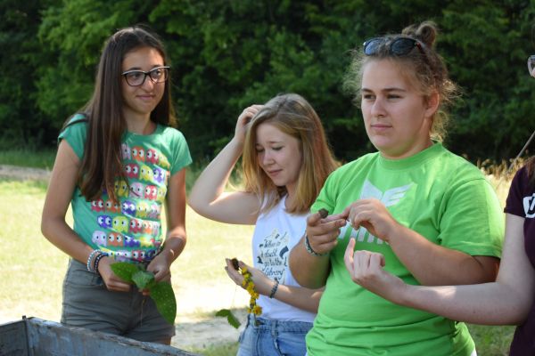 Kattints ide a teljes kép megtekintéséhez