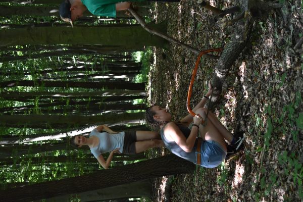 Kattints ide a teljes kép megtekintéséhez