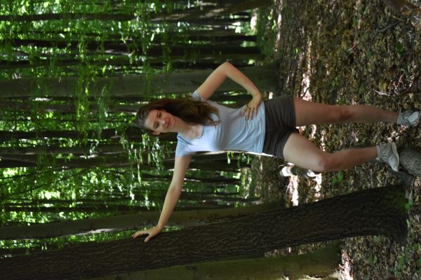 Kattints ide a teljes kép megtekintéséhez