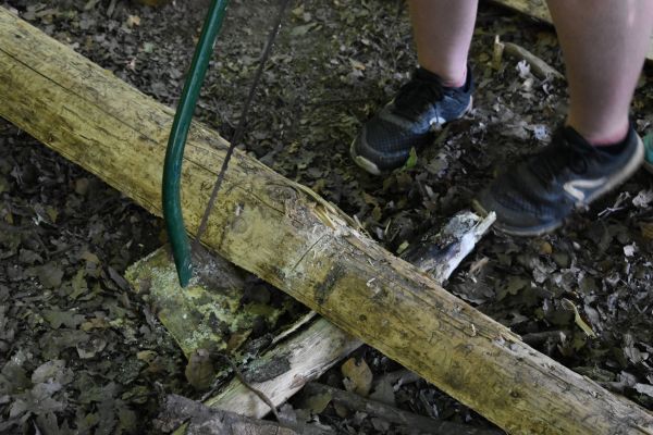 Kattints ide a teljes kép megtekintéséhez