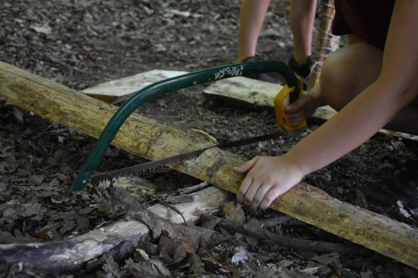 Kattints ide a teljes kép megtekintéséhez