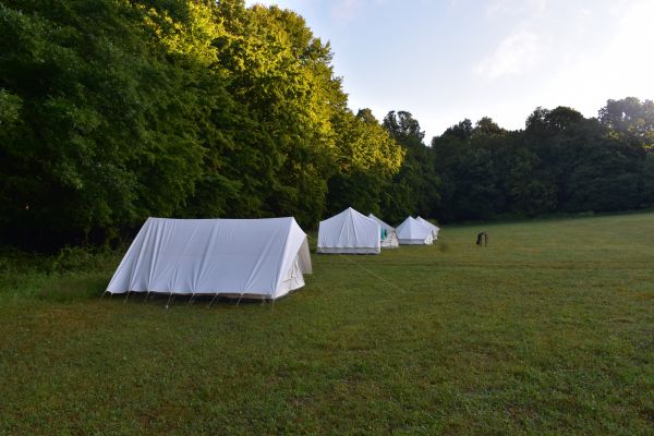 Kattints ide a teljes kép megtekintéséhez
