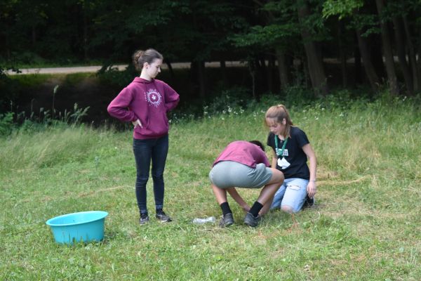 Kattints ide a teljes kép megtekintéséhez