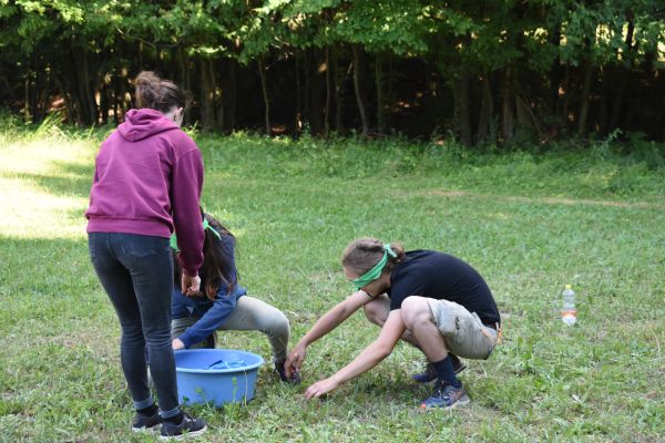 Kattints ide a teljes kép megtekintéséhez