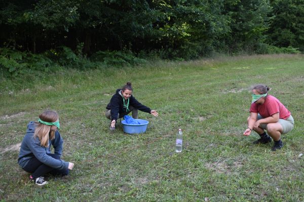 Kattints ide a teljes kép megtekintéséhez