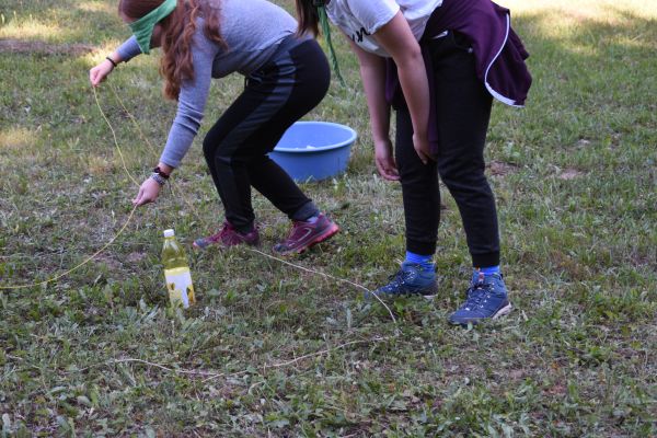 Kattints ide a teljes kép megtekintéséhez