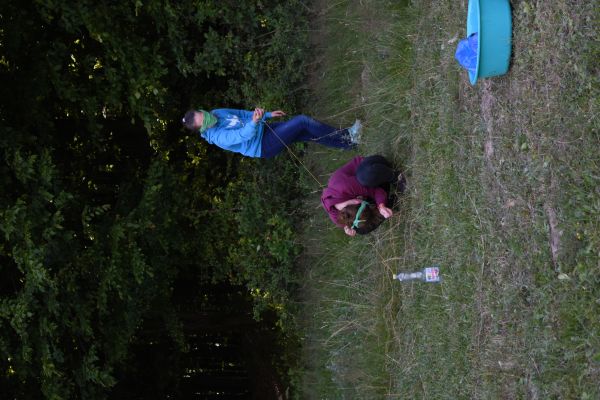 Kattints ide a teljes kép megtekintéséhez