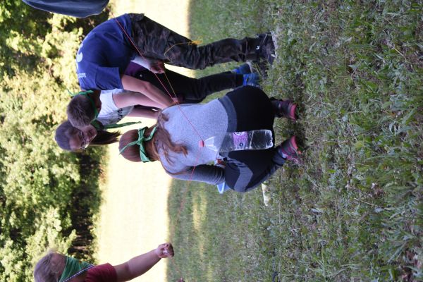 Kattints ide a teljes kép megtekintéséhez