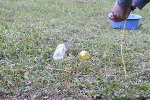 Kattints ide a teljes kép megtekintéséhez