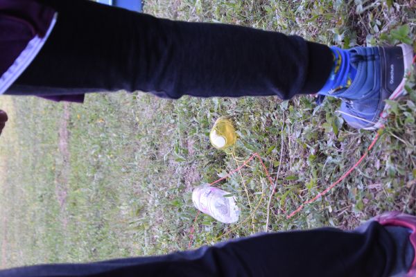 Kattints ide a teljes kép megtekintéséhez