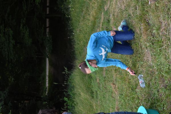 Kattints ide a teljes kép megtekintéséhez