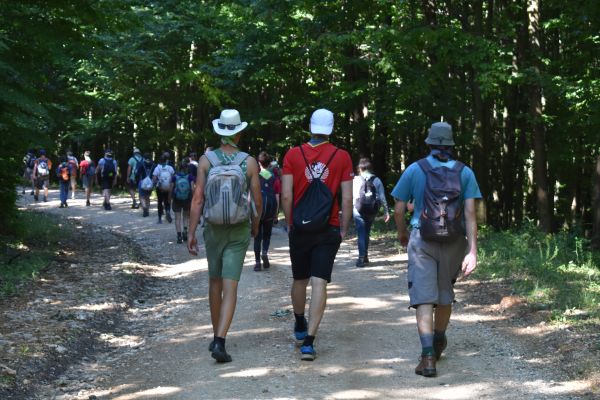 Kattints ide a teljes kép megtekintéséhez