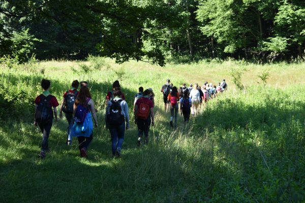 Kattints ide a teljes kép megtekintéséhez