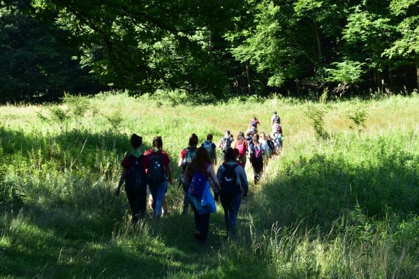 Kattints ide a teljes kép megtekintéséhez