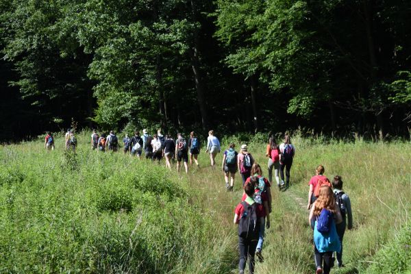 Kattints ide a teljes kép megtekintéséhez