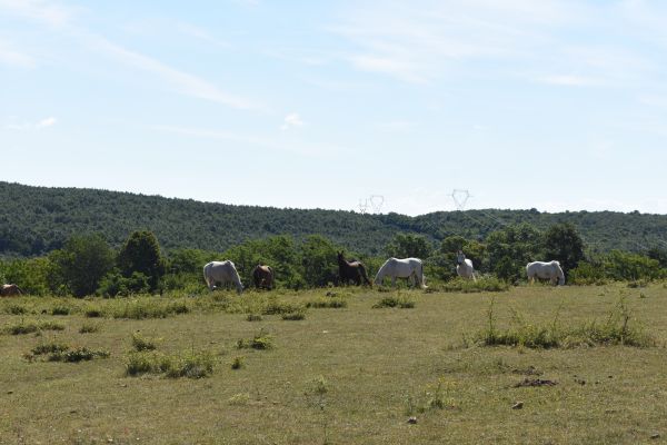 Kattints ide a teljes kép megtekintéséhez