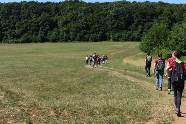Kattints ide a teljes kép megtekintéséhez