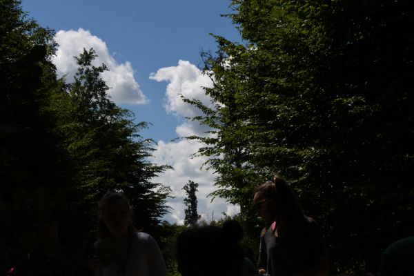 Kattints ide a teljes kép megtekintéséhez