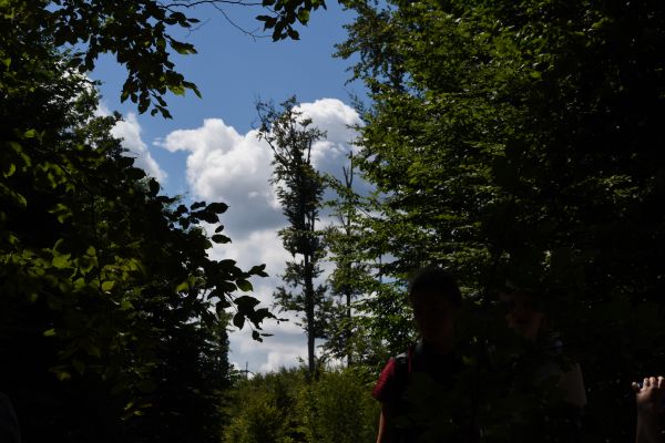 Kattints ide a teljes kép megtekintéséhez