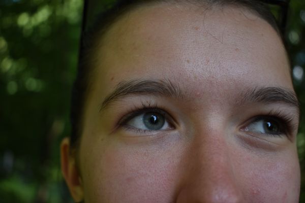 Kattints ide a teljes kép megtekintéséhez