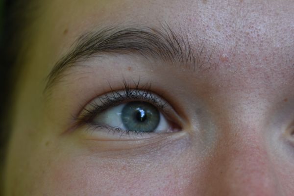 Kattints ide a teljes kép megtekintéséhez