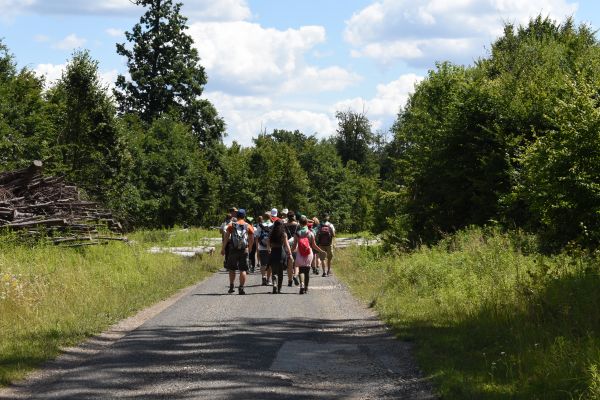 Kattints ide a teljes kép megtekintéséhez