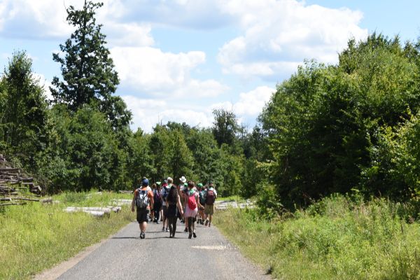 Kattints ide a teljes kép megtekintéséhez