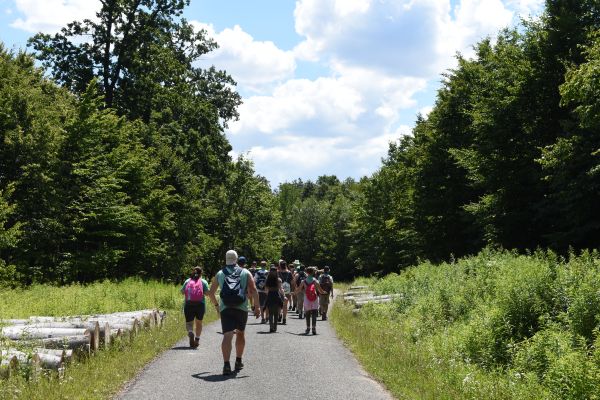 Kattints ide a teljes kép megtekintéséhez