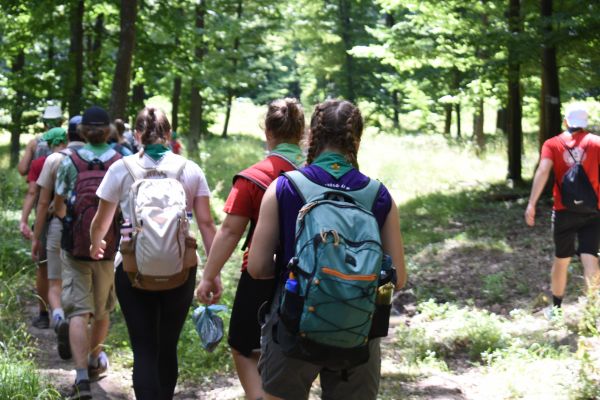Kattints ide a teljes kép megtekintéséhez