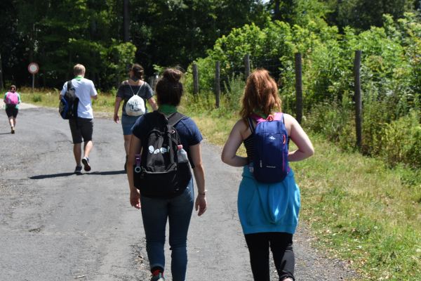 Kattints ide a teljes kép megtekintéséhez