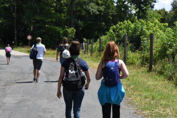 Kattints ide a teljes kép megtekintéséhez