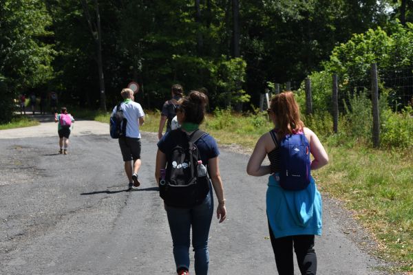 Kattints ide a teljes kép megtekintéséhez