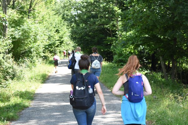 Kattints ide a teljes kép megtekintéséhez