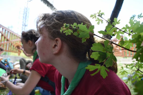 Kattints ide a teljes kép megtekintéséhez