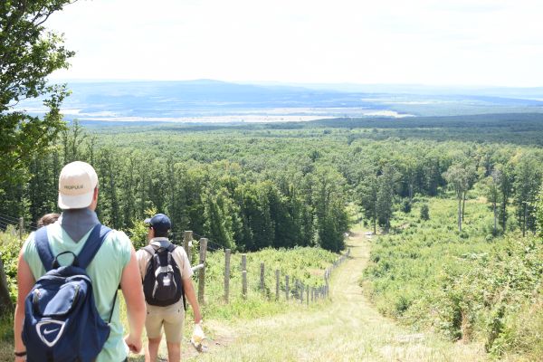 Kattints ide a teljes kép megtekintéséhez