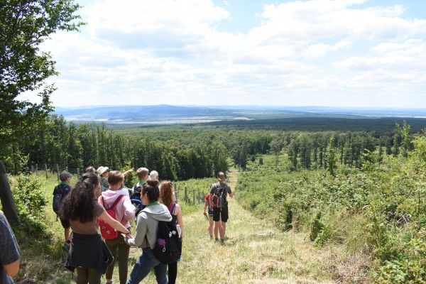 Kattints ide a teljes kép megtekintéséhez