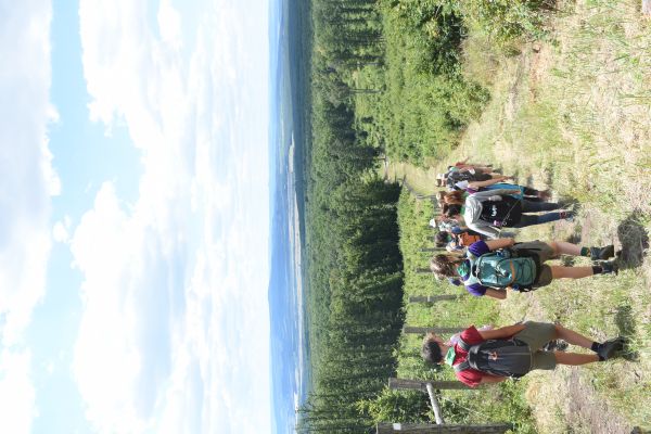 Kattints ide a teljes kép megtekintéséhez