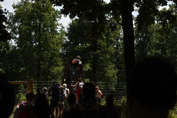 Kattints ide a teljes kép megtekintéséhez