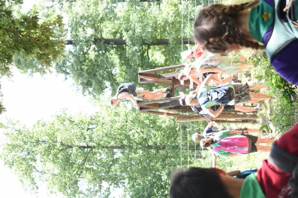 Kattints ide a teljes kép megtekintéséhez