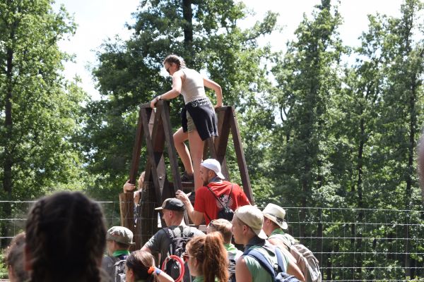 Kattints ide a teljes kép megtekintéséhez