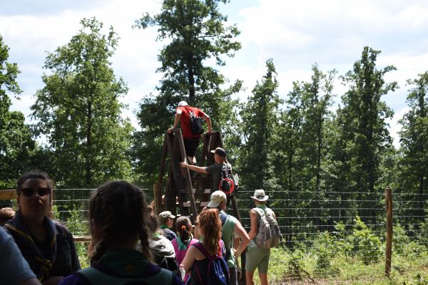 Kattints ide a teljes kép megtekintéséhez