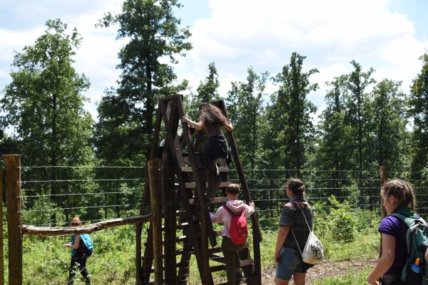 Kattints ide a teljes kép megtekintéséhez