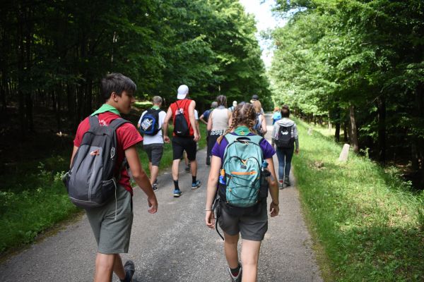 Kattints ide a teljes kép megtekintéséhez