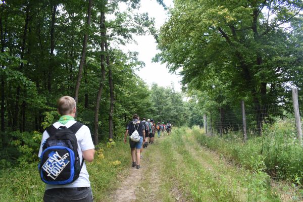 Kattints ide a teljes kép megtekintéséhez