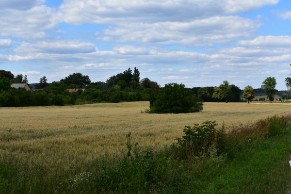 Kattints ide a teljes kép megtekintéséhez