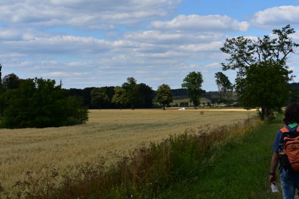 Kattints ide a teljes kép megtekintéséhez