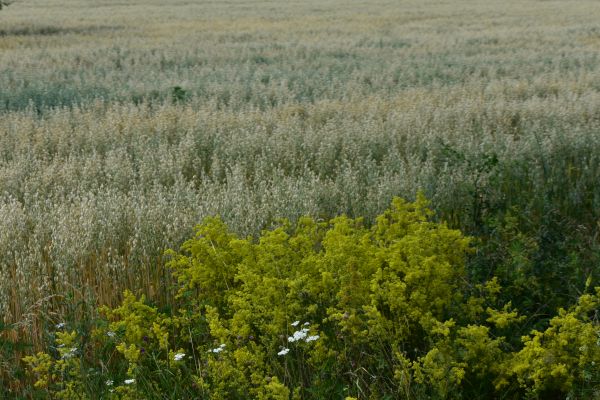 Kattints ide a teljes kép megtekintéséhez