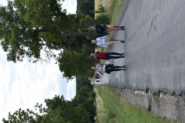 Kattints ide a teljes kép megtekintéséhez