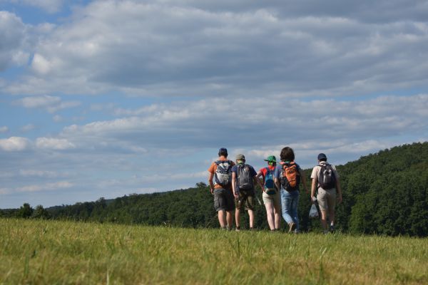 Kattints ide a teljes kép megtekintéséhez