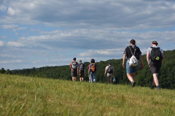 Kattints ide a teljes kép megtekintéséhez